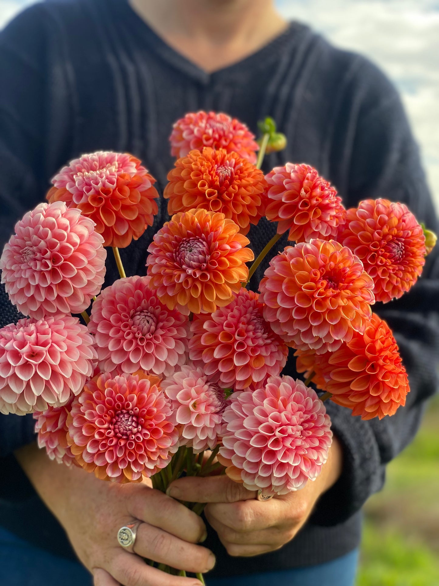 Florelie Angostura