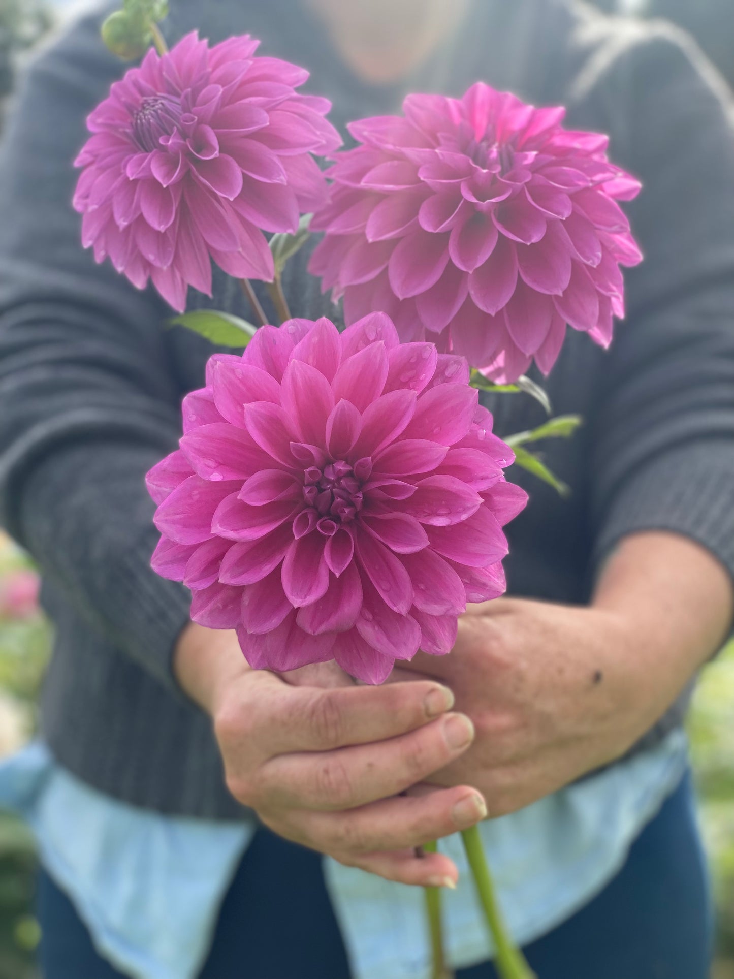 Florelie Baroness