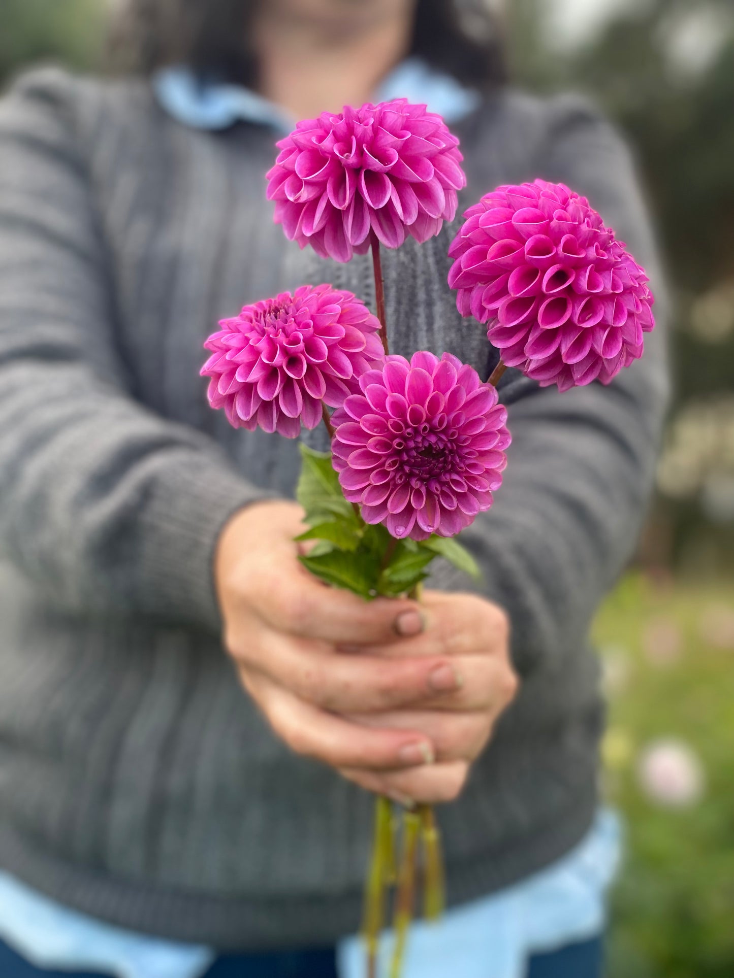 The Round Flower Club