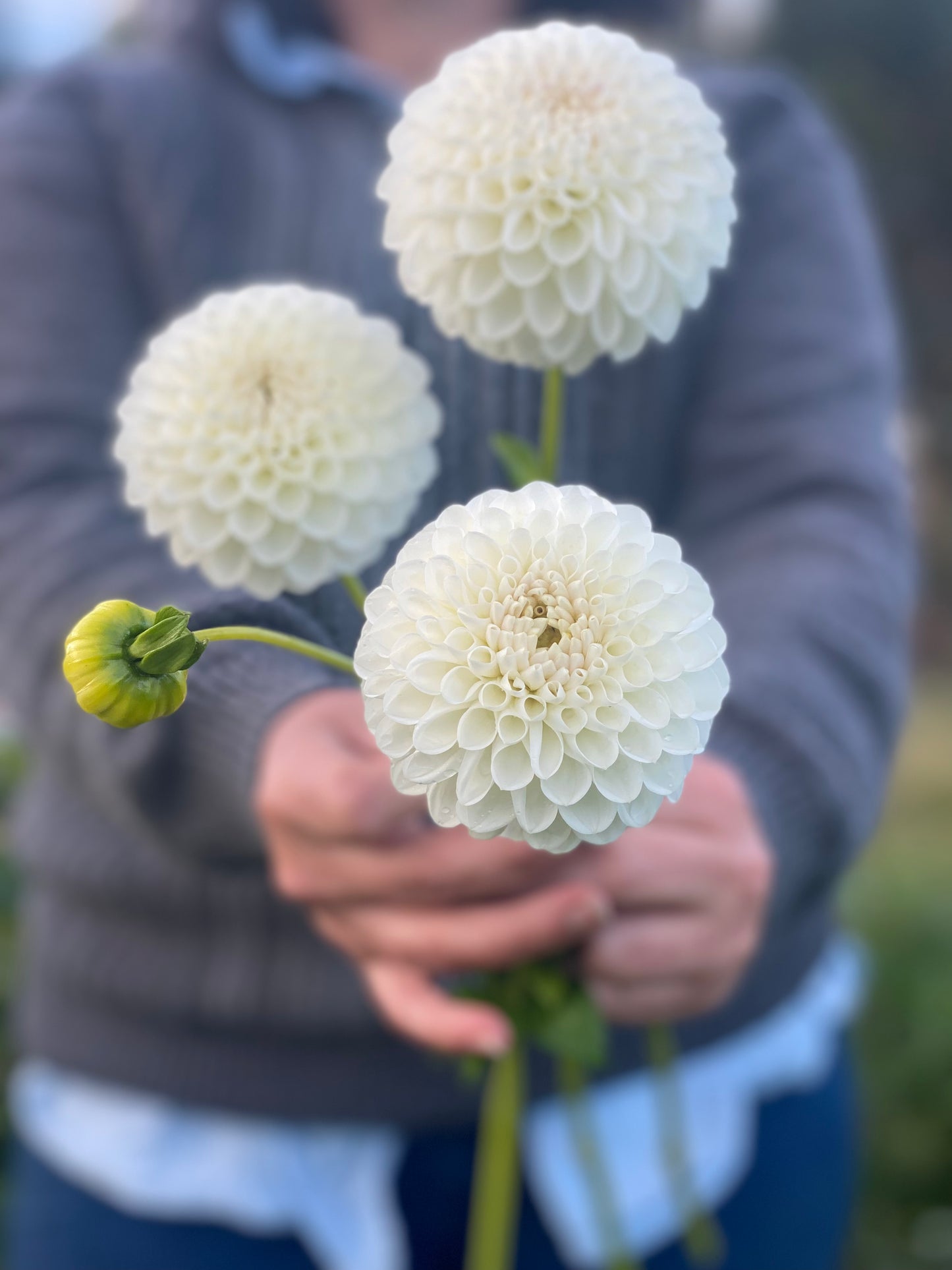 The Round Flower Club