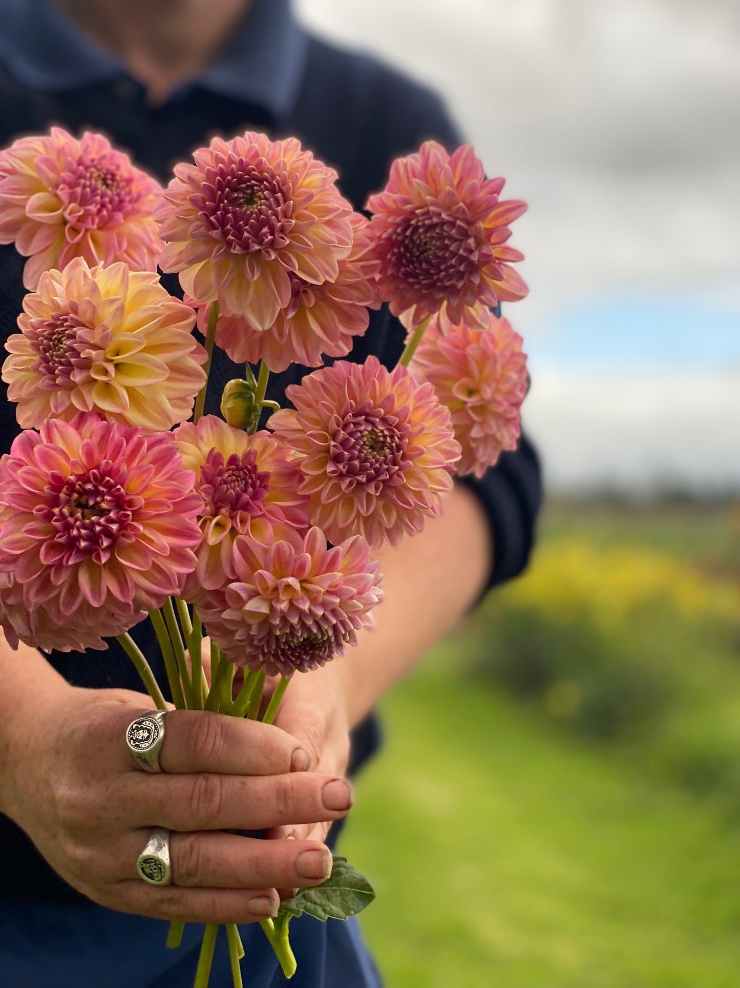 Florelie Harmony