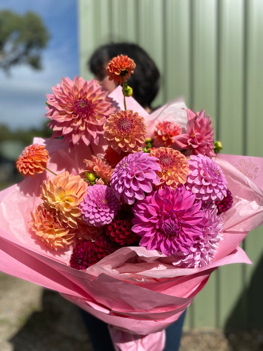 Overview: Dahlia Grower's Year