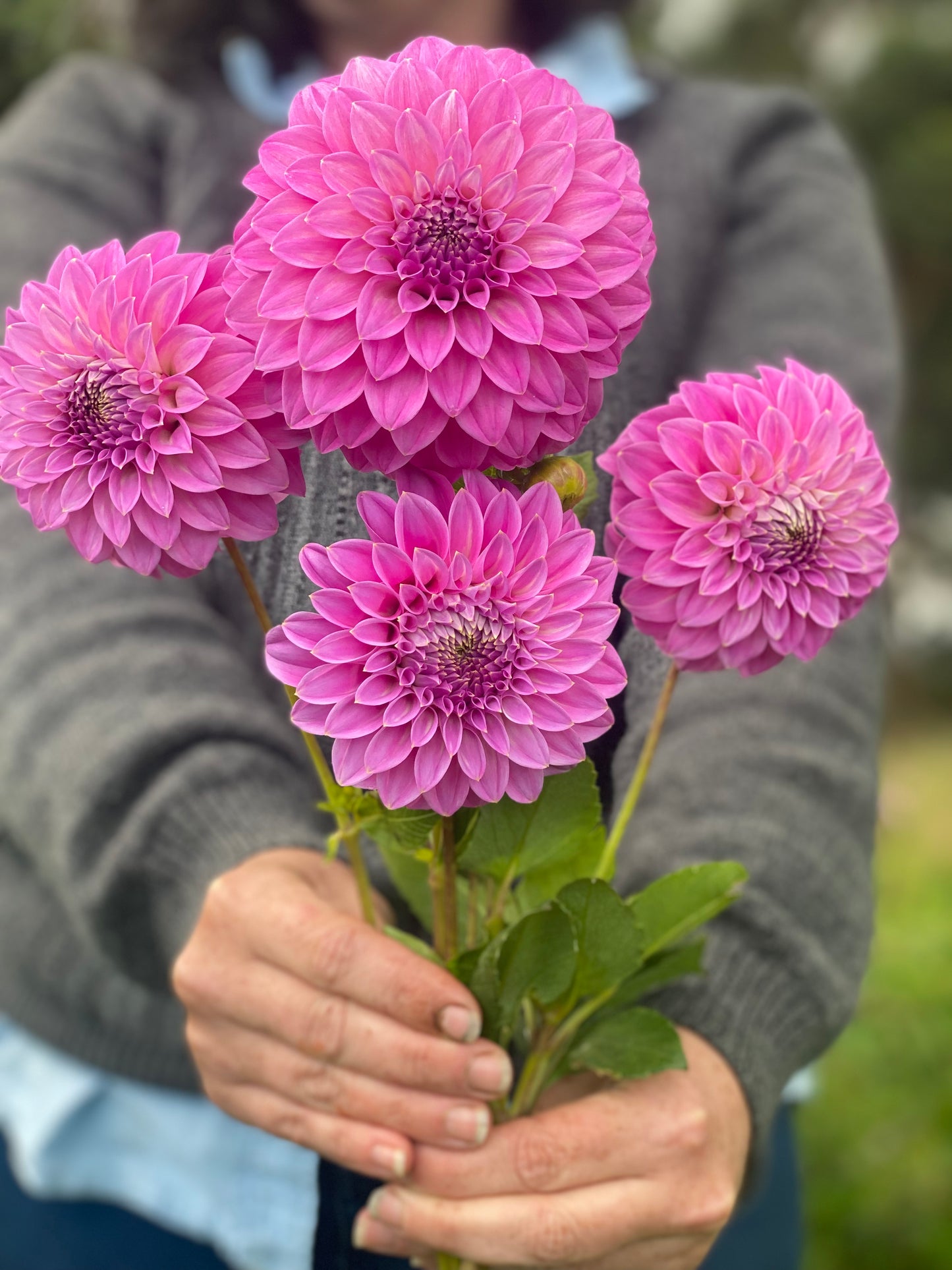 Pink Bundle