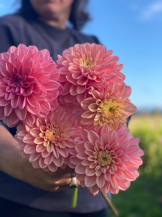 Florelie Kindness