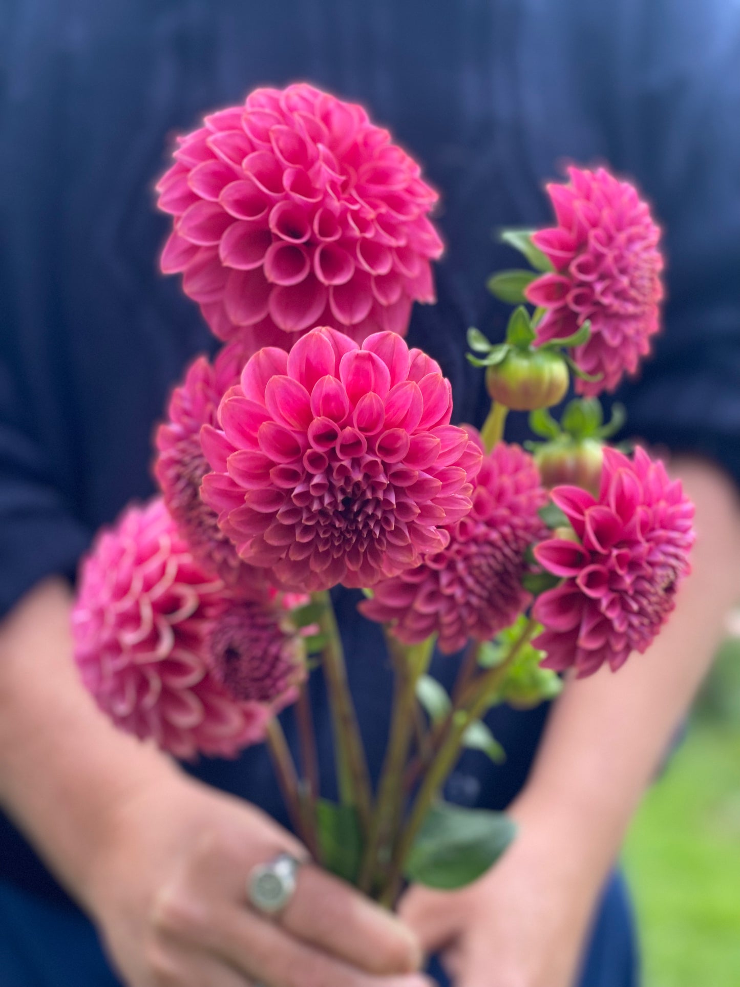 Florelie Omen