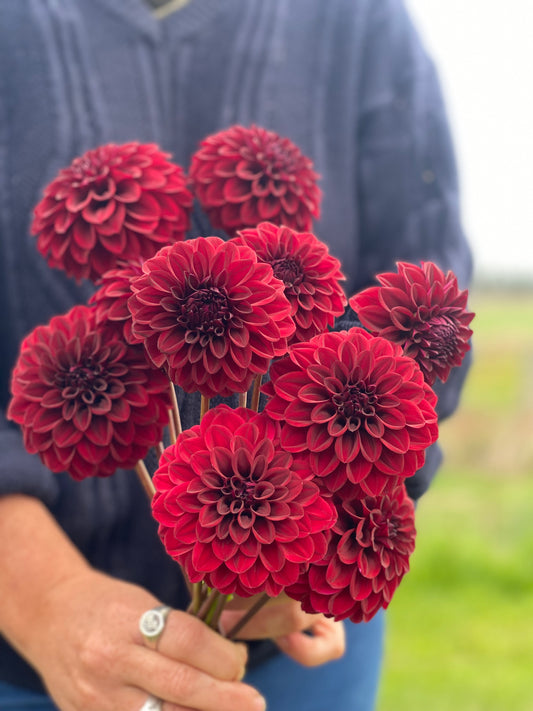 Florelie Bordeaux