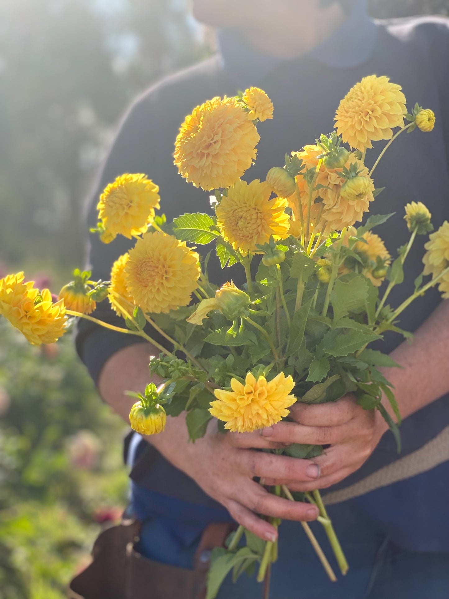 Cut Flower Bundle