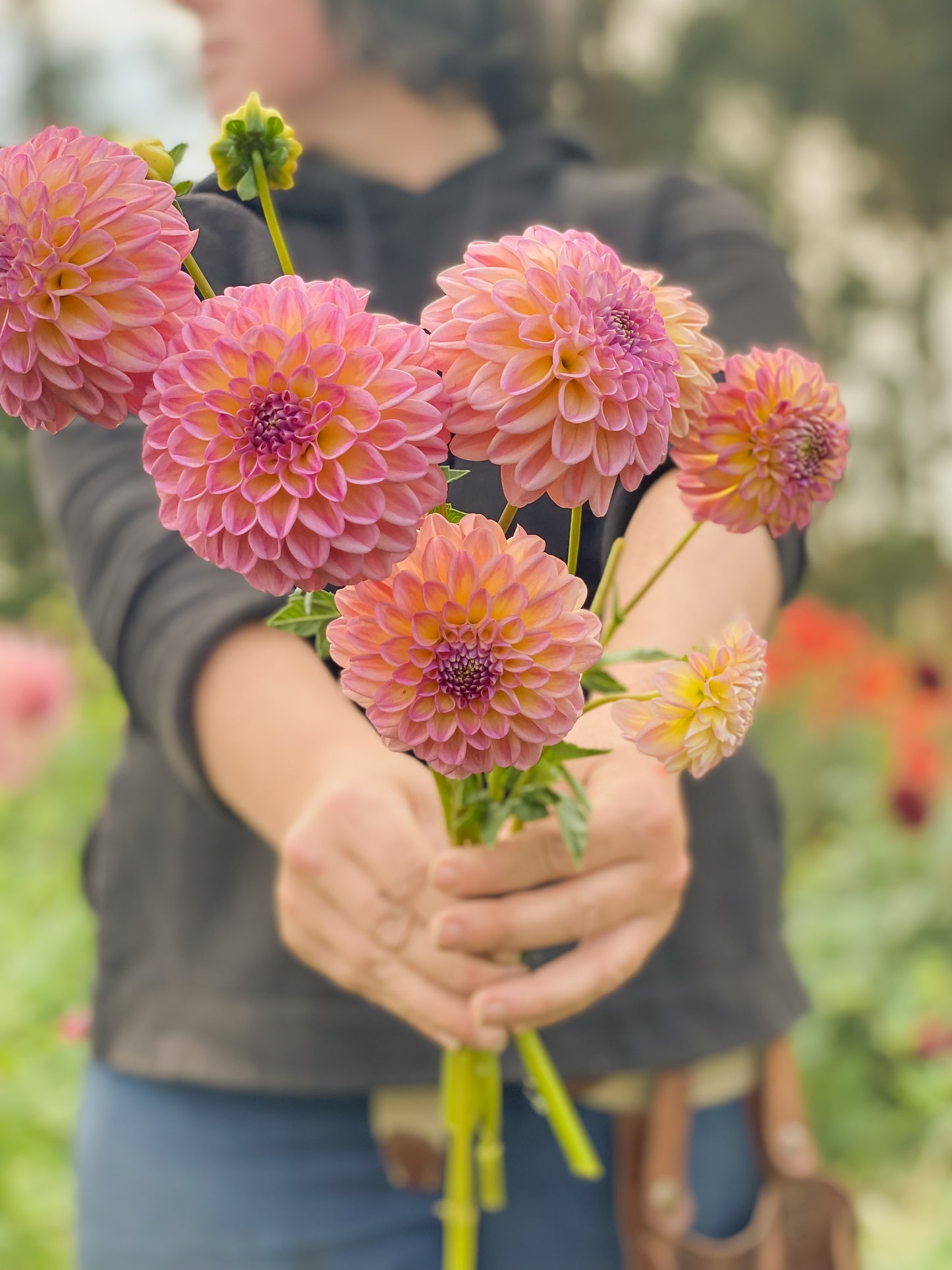 Cut Flower Bundle