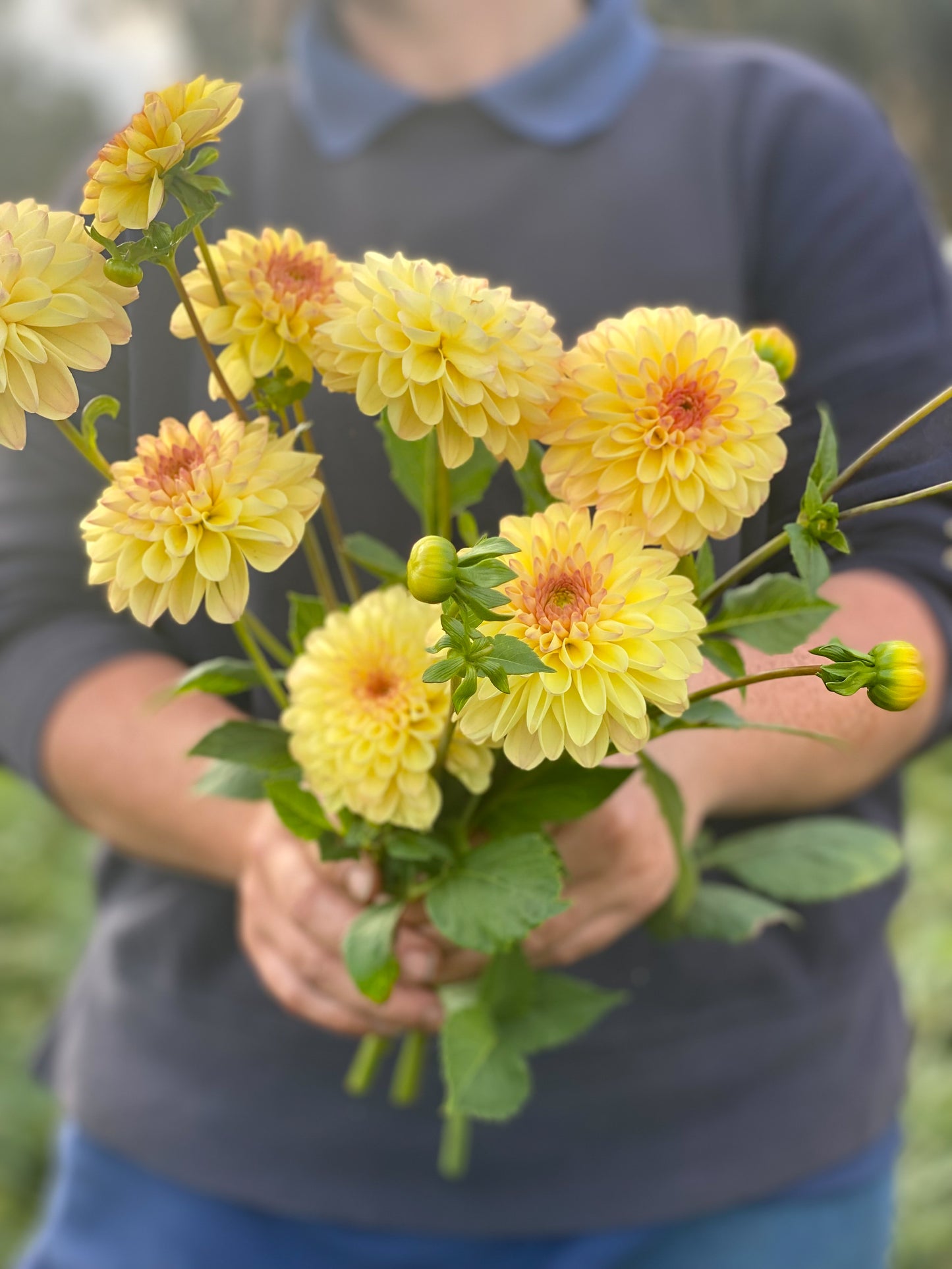 Cut Flower Bundle