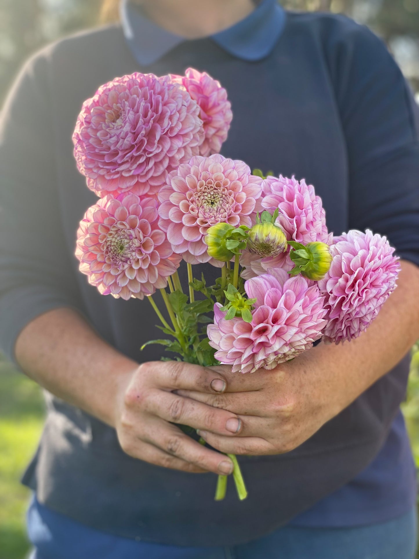 Pink Bundle